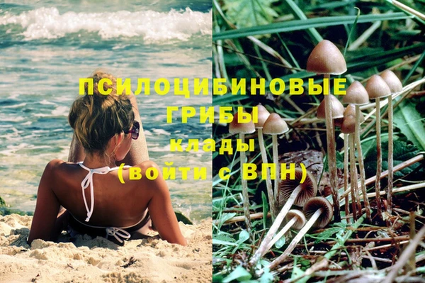 соль ск Ладушкин