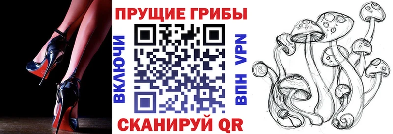 Псилоцибиновые грибы Psilocybine cubensis  закладки  Хадыженск 